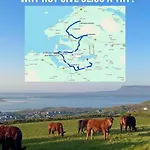 Daffodil Holiday home Sligo