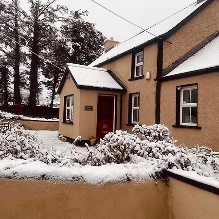 Daffodil Σπίτι διακοπών