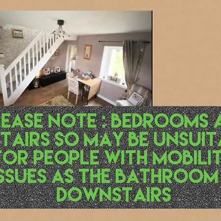 Daffodil * سلايغو