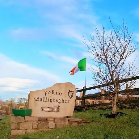 Daffodil Σπίτι διακοπών *