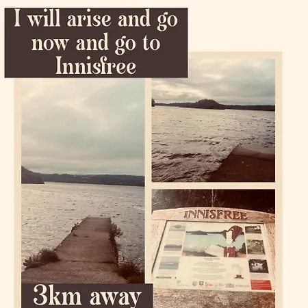 Daffodil * سلايغو