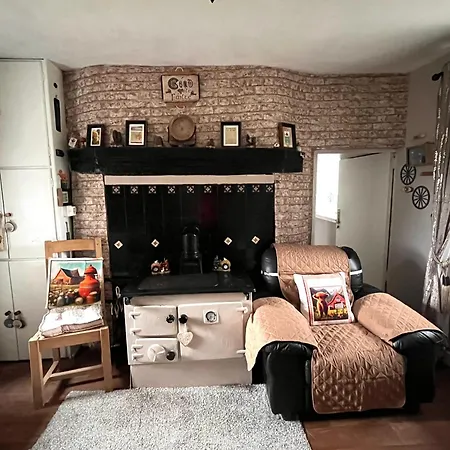 Daffodil * Σλίγκο