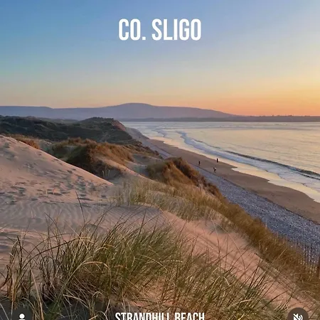 Daffodil * Слайго