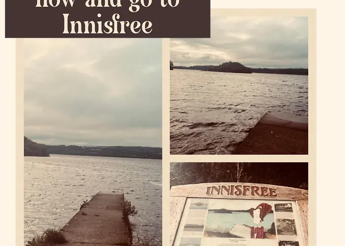 Daffodil * スライゴ